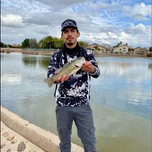 Meet your Posher, George